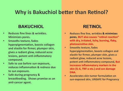 Bakuchiol Serum: A Professional Retinol Alternative for Anti-Aging